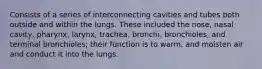 Consists of a series of interconnecting cavities and tubes both outside and within the lungs. These included the nose, nasal cavity, pharynx, larynx, trachea, bronchi, bronchioles, and terminal bronchioles; their function is to warm, and moisten air and conduct it into the lungs.