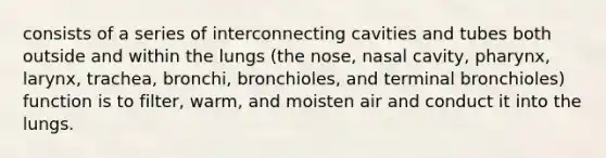 consists of a series of interconnecting cavities and tubes both outside and within the lungs (the nose, nasal cavity, pharynx, larynx, trachea, bronchi, bronchioles, and terminal bronchioles) function is to filter, warm, and moisten air and conduct it into the lungs.