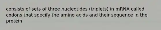 consists of sets of three nucleotides (triplets) in mRNA called codons that specify the amino acids and their sequence in the protein