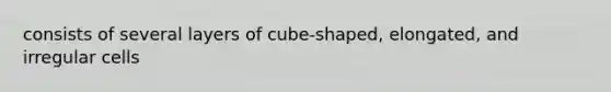 consists of several layers of cube-shaped, elongated, and irregular cells