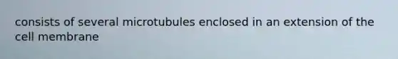 consists of several microtubules enclosed in an extension of the cell membrane