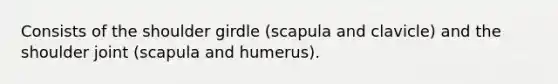 Consists of the shoulder girdle (scapula and clavicle) and the shoulder joint (scapula and humerus).