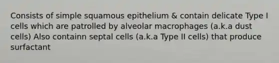 Consists of simple squamous epithelium & contain delicate Type I cells which are patrolled by alveolar macrophages (a.k.a dust cells) Also containn septal cells (a.k.a Type II cells) that produce surfactant