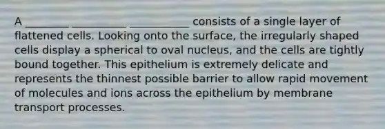 A ________ __________ ___________ consists of a single layer of flattened cells. Looking onto the surface, the irregularly shaped cells display a spherical to oval nucleus, and the cells are tightly bound together. This epithelium is extremely delicate and represents the thinnest possible barrier to allow rapid movement of molecules and ions across the epithelium by membrane transport processes.