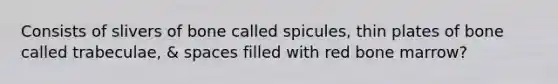 Consists of slivers of bone called spicules, thin plates of bone called trabeculae, & spaces filled with red bone marrow?