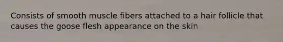 Consists of smooth muscle fibers attached to a hair follicle that causes the goose flesh appearance on the skin