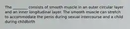 The ________ consists of smooth muscle in an outer circular layer and an inner longitudinal layer. The smooth muscle can stretch to accommodate the penis during sexual intercourse and a child during childbirth