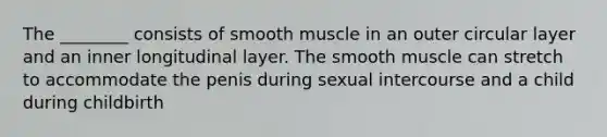 The ________ consists of smooth muscle in an outer circular layer and an inner longitudinal layer. The smooth muscle can stretch to accommodate the penis during sexual intercourse and a child during childbirth