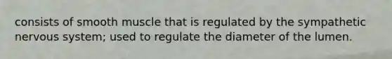 consists of smooth muscle that is regulated by the sympathetic nervous system; used to regulate the diameter of the lumen.
