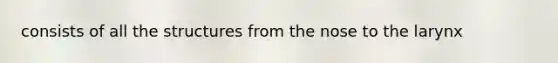 consists of all the structures from the nose to the larynx