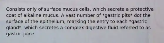 Consists only of surface mucus cells, which secrete a protective coat of alkaline mucus. A vast number of *gastric pits* dot the surface of the epithelium, marking the entry to each *gastric gland*, which secretes a complex digestive fluid referred to as gastric juice.