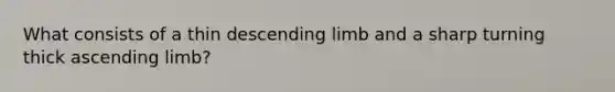 What consists of a thin descending limb and a sharp turning thick ascending limb?