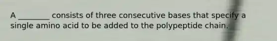 A ________ consists of three consecutive bases that specify a single amino acid to be added to the polypeptide chain.