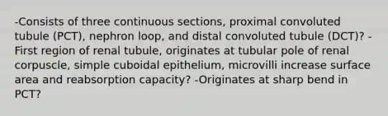 -Consists of three continuous sections, proximal convoluted tubule (PCT), nephron loop, and distal convoluted tubule (DCT)? -First region of renal tubule, originates at tubular pole of renal corpuscle, simple cuboidal epithelium, microvilli increase surface area and reabsorption capacity? -Originates at sharp bend in PCT?