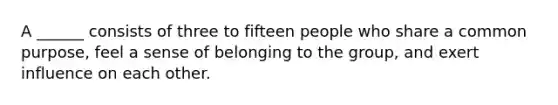 A ______ consists of three to fifteen people who share a common purpose, feel a sense of belonging to the group, and exert influence on each other.