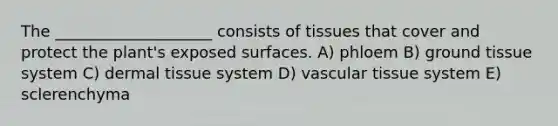 The ____________________ consists of tissues that cover and protect the plant's exposed surfaces. A) phloem B) ground tissue system C) dermal tissue system D) vascular tissue system E) sclerenchyma