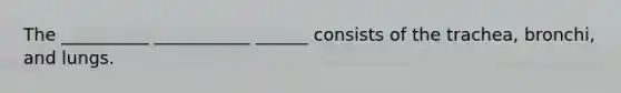 The __________ ___________ ______ consists of the trachea, bronchi, and lungs.