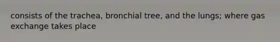 consists of the trachea, bronchial tree, and the lungs; where gas exchange takes place