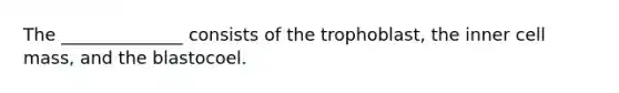The ______________ consists of the trophoblast, the inner cell mass, and the blastocoel.