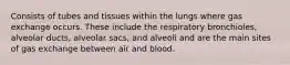 Consists of tubes and tissues within the lungs where gas exchange occurs. These include the respiratory bronchioles, alveolar ducts, alveolar sacs, and alveoli and are the main sites of gas exchange between air and blood.