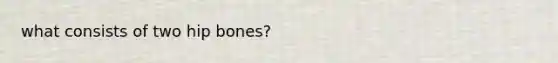 what consists of two hip bones?