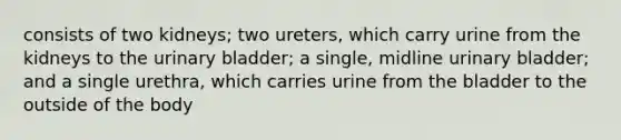 consists of two kidneys; two ureters, which carry urine from the kidneys to the <a href='https://www.questionai.com/knowledge/kb9SdfFdD9-urinary-bladder' class='anchor-knowledge'>urinary bladder</a>; a single, midline urinary bladder; and a single urethra, which carries urine from the bladder to the outside of the body