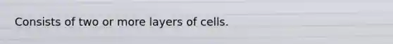 Consists of two or more layers of cells.