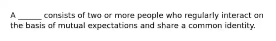 A ______ consists of two or more people who regularly interact on the basis of mutual expectations and share a common identity.