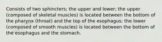 Consists of two sphincters; the upper and lower; the upper (composed of skeletal muscles) is located between the bottom of the pharynx (throat) and the top of the esophagus; the lower (composed of smooth muscles) is located between the bottom of the esophagus and the stomach.