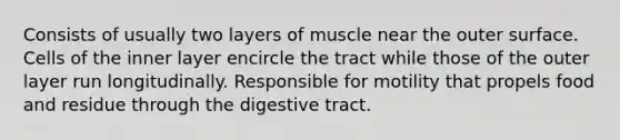 Consists of usually two layers of muscle near the outer surface. Cells of the inner layer encircle the tract while those of the outer layer run longitudinally. Responsible for motility that propels food and residue through the digestive tract.