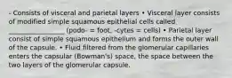 - Consists of visceral and parietal layers • Visceral layer consists of modified simple squamous epithelial cells called _________________ (podo- = foot, -cytes = cells) • Parietal layer consist of simple squamous epithelium and forms the outer wall of the capsule. • Fluid filtered from the glomerular capillaries enters the capsular (Bowman's) space, the space between the two layers of the glomerular capsule.