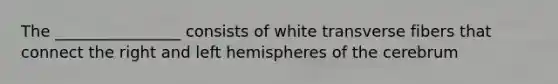 The ________________ consists of white transverse fibers that connect the right and left hemispheres of the cerebrum