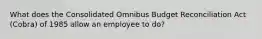 What does the Consolidated Omnibus Budget Reconciliation Act (Cobra) of 1985 allow an employee to do?