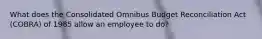 What does the Consolidated Omnibus Budget Reconciliation Act (COBRA) of 1985 allow an employee to do?