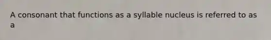 A consonant that functions as a syllable nucleus is referred to as a