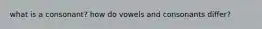 what is a consonant? how do vowels and consonants differ?