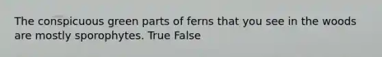 The conspicuous green parts of ferns that you see in the woods are mostly sporophytes. True False
