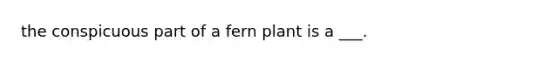 the conspicuous part of a fern plant is a ___.