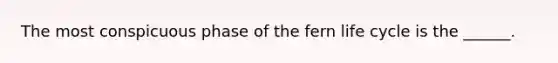 The most conspicuous phase of the fern life cycle is the ______.