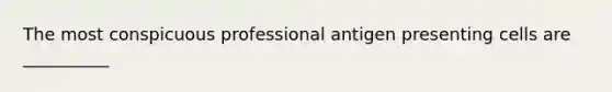 The most conspicuous professional antigen presenting cells are __________