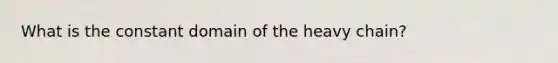 What is the constant domain of the heavy chain?