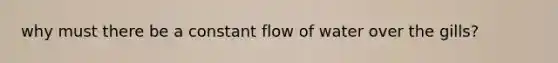 why must there be a constant flow of water over the gills?