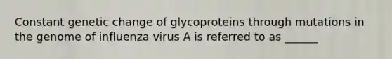 Constant genetic change of glycoproteins through mutations in the genome of influenza virus A is referred to as ______