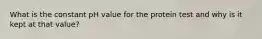 What is the constant pH value for the protein test and why is it kept at that value?