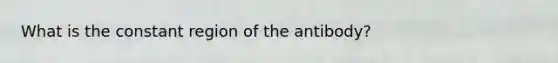 What is the constant region of the antibody?