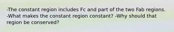 -The constant region includes Fc and part of the two Fab regions. -What makes the constant region constant? -Why should that region be conserved?