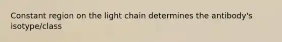 Constant region on the light chain determines the antibody's isotype/class