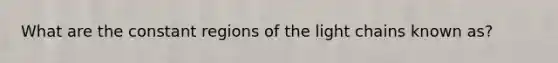 What are the constant regions of the light chains known as?