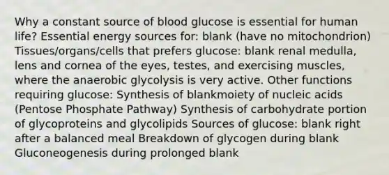 Why a constant source of blood glucose is essential for human life? Essential energy sources for: blank (have no mitochondrion) Tissues/organs/cells that prefers glucose: blank renal medulla, lens and cornea of the eyes, testes, and exercising muscles, where the anaerobic glycolysis is very active. Other functions requiring glucose: Synthesis of blankmoiety of nucleic acids (Pentose Phosphate Pathway) Synthesis of carbohydrate portion of glycoproteins and glycolipids Sources of glucose: blank right after a balanced meal Breakdown of glycogen during blank Gluconeogenesis during prolonged blank