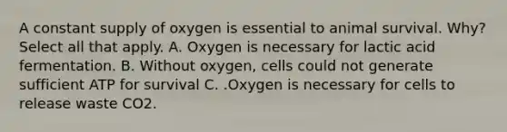 A constant supply of oxygen is essential to animal survival. Why? Select all that apply. A. Oxygen is necessary for lactic acid fermentation. B. Without oxygen, cells could not generate sufficient ATP for survival C. .Oxygen is necessary for cells to release waste CO2.